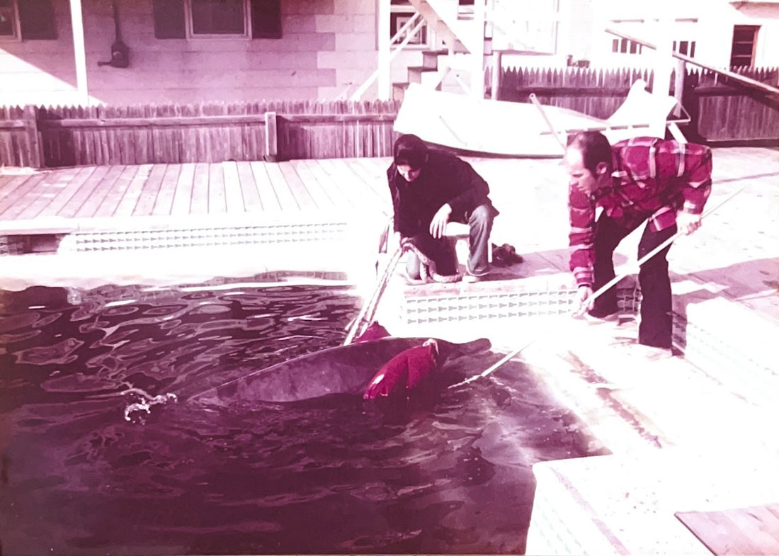 Nat and Carol Ewer Beaked Whale Beach Haven